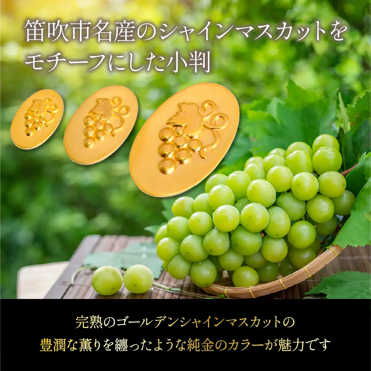 純金シャインマスカット小判5ｇ　管理番号255386 218-279-c