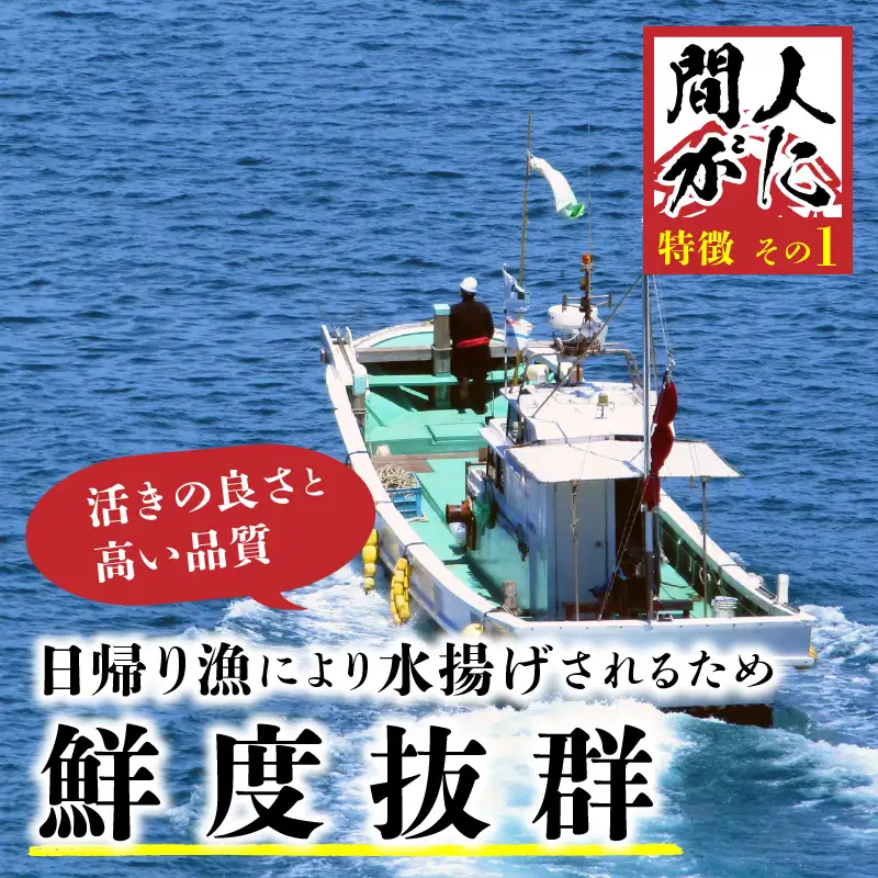 （訳あり）茹で間人がに 2匹 Aセット　11/22～12/21発送予定