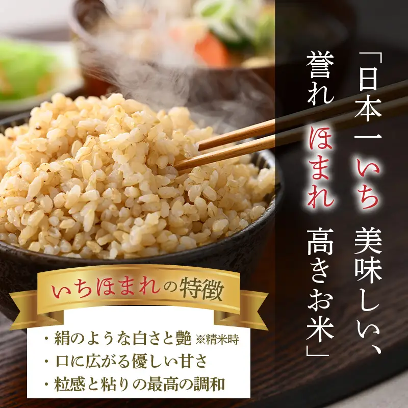 【令和8年産】定期便12回 いちほまれ 玄米 10kg×12回（計120kg）《新鮮な高品質米をお届け！》／ 福井県産 ブランド米 ご飯 [aw064-o004]