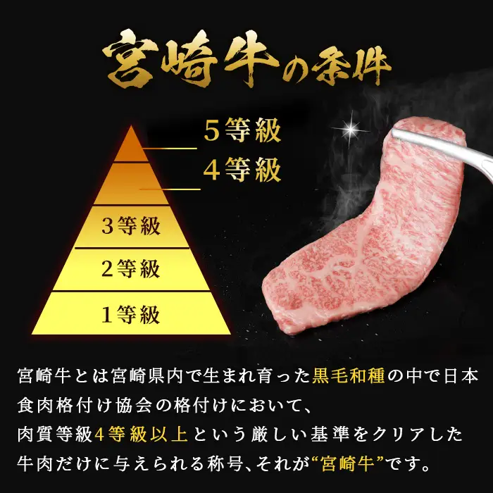 【定期便・全6回(連続)】A5 等級 宮崎牛 カレー ・ シチュー 用 角切り 肉(総計3kg・500g×1P×6回) 国産 牛 冷凍 和牛 牛肉 煮込み用 煮込み料理 煮込み 小分け 晩ご飯 おかず ブランド牛【OT-10】【KNOT合同会社】