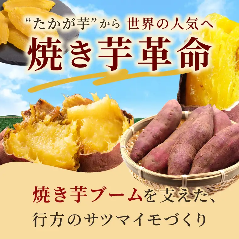 【新プロジェクトX放送～行方かんしょ～】 「紅まさり」堪能セット（冷凍焼き芋8本・平干し芋300ｇ×2袋セット）|茨城県 行方市 ふるさと納税 冷凍焼き芋 やきいも 平干し芋 ほしいも 紅まさり（AE-157）