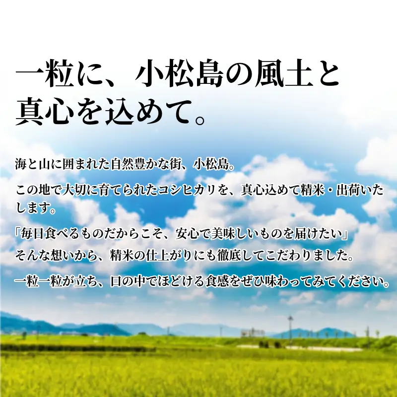 【令和8年産】 新米 米 定期便 あいさい米5kg×6回定期便 計30kg  ご飯 小松島市