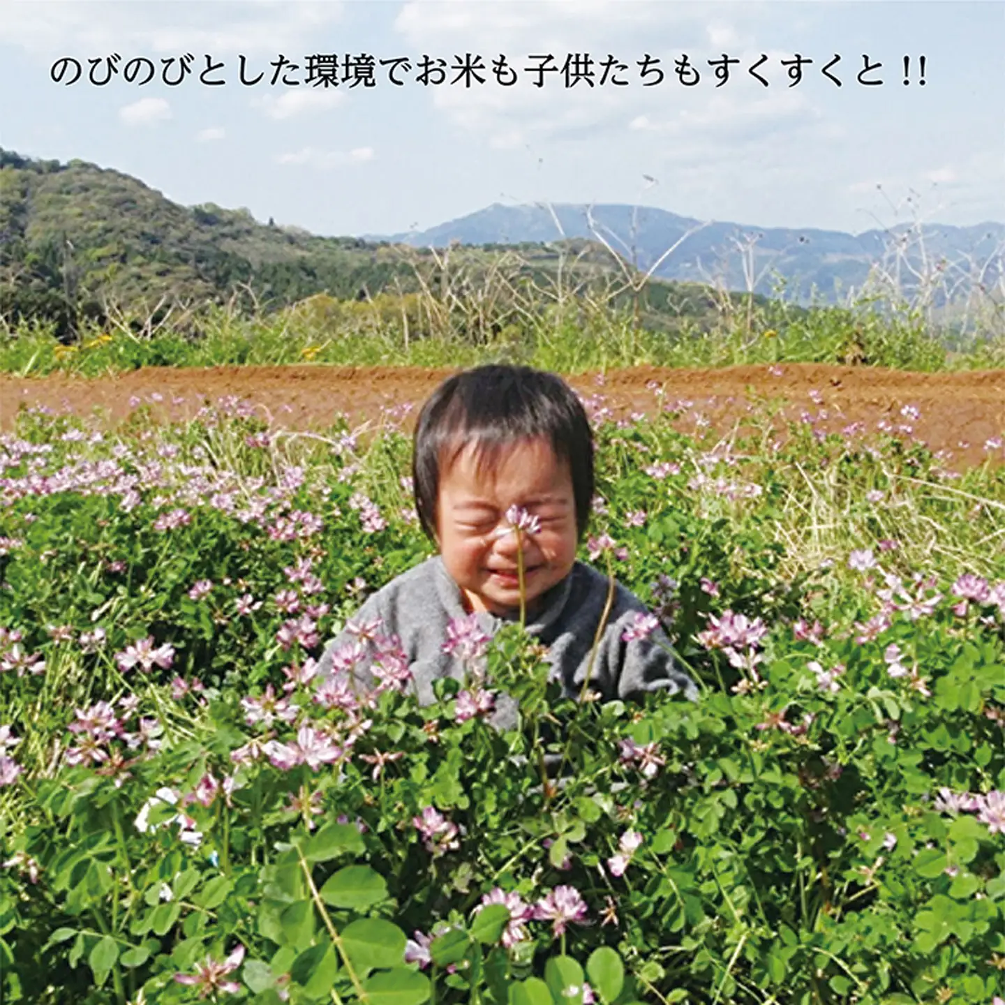【令和8年産 新米】しょうちゃんの棚田米 夢しずく 米 5kg 佐賀県産 精米 栽培期間中農薬・化学肥料不使用 _b-93
