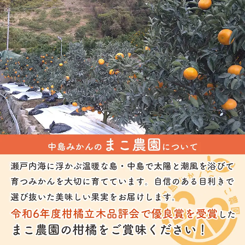 中島産 あいか48号 ( 紅プリンセス と同品種 ) 【2027年2月中旬から