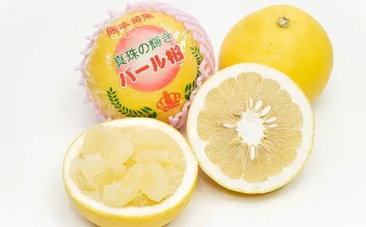 ちびぞうパール柑4L20kg 2027年1月下旬～2月下旬迄発送予定】パール柑 文旦 6 ～ 18玉 約5kg