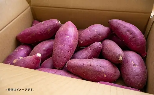 紅はるか さつまいも 約5kg サツマイモ いも イモ 芋 野菜 やさい 焼き芋 焼芋 焼きいも スイートポテト スイーツ 国産 熊本県産 【 2026年10月上旬～11月下旬発送予定 】