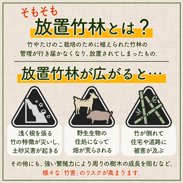 i1366-B 鹿児島めんま 四川山椒(100g×6P) めんま 四川山椒 山椒 国産 九州 常温 味付き 味付け おつまみ おかず ごはんのお供 晩酌 ピリ辛 ラーメン 具材 トッピング 漬物 竹 幼竹 孟宗竹 環境保全 メール便 ポスト投函 ネコポス 【シンタク】