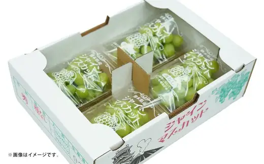 シャインマスカット ぶどう 4パック 約1.2kg マスカット ブドウ 葡萄 高級ぶどう 高級 果物 くだもの フルーツ 果実 甘み 皮ごと 国産 熊本県産 冷蔵 【 2027年7月下旬～8月下旬発送予定 】