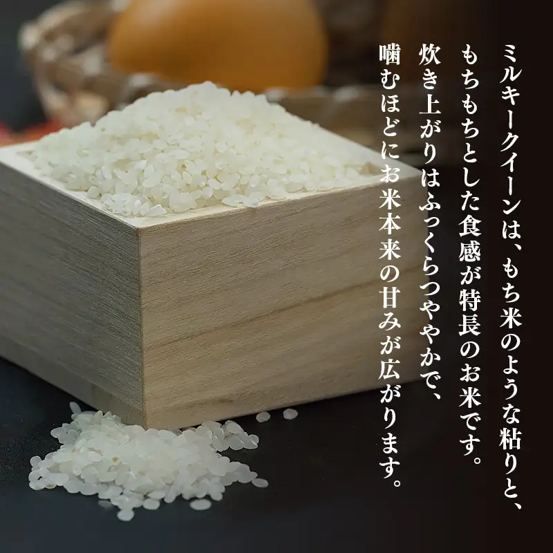 令和8年産 ミルキークイーン 約5kg | お米 愛媛県産米 白米 精米 【VEG1171】