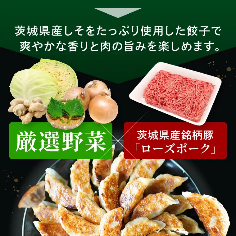 餃子 肉餃子 しそたっぷり肉餃子 30個×2袋 ローズポーク ブランド豚  餃子 ぎょうざ 中華 そうざい 青しそ シソ 惣菜   時短 簡単調理 冷凍 【茨城県共通返礼品/行方市産】（96-07)