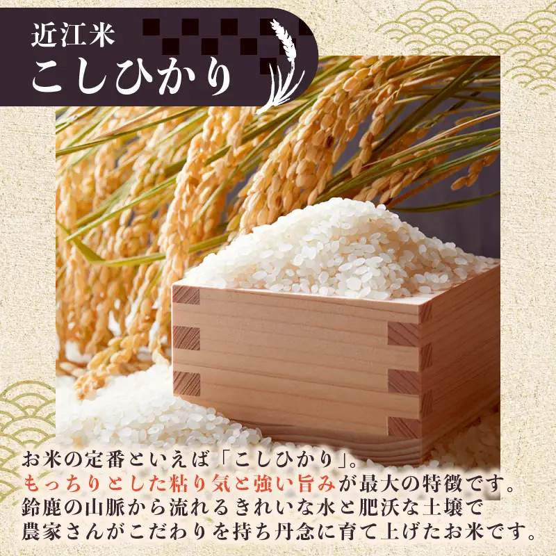 【先行受付】 新米 こしひかり 白米 10kg 令和8年産 近江米 令和8年 ご飯 コシヒカリ 先行予約
