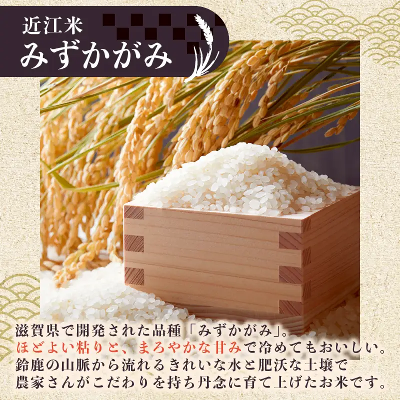 【先行受付】 新米 みずかがみ 白米 5kg 令和8年産 近江米 令和8年 ご飯 先行予約