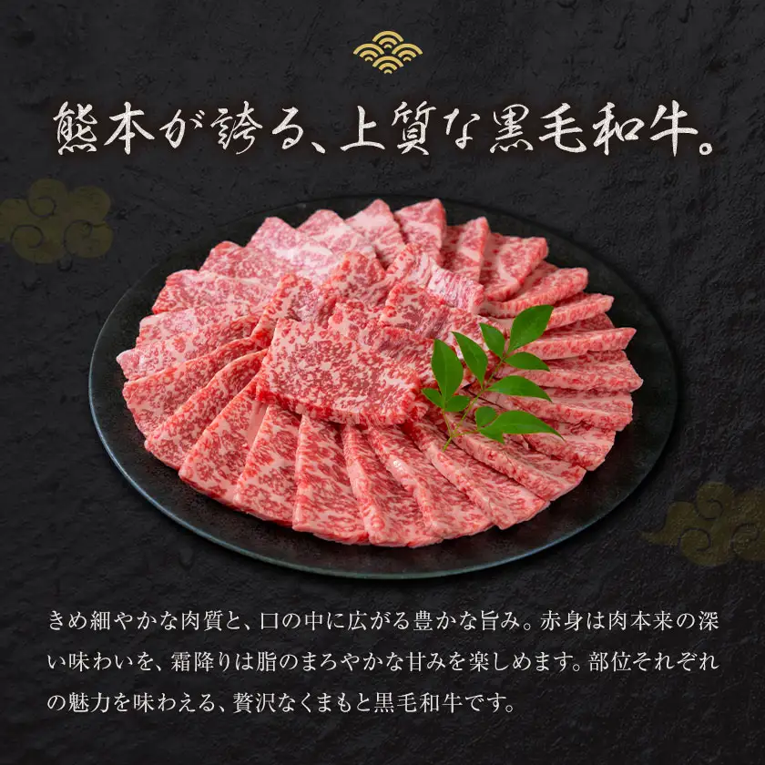 黒毛和牛 極上霜降り リブ サーロイン 特上バラ 焼肉 500g