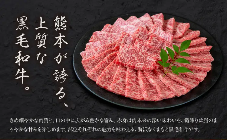 黒毛和牛 赤身 ウデモモスライス 500g