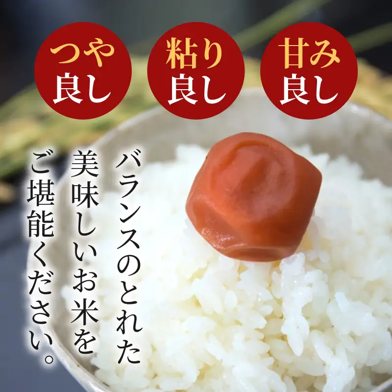 S050-007-R8-T03_【定期便3回】令和8年産 コシヒカリ 精米5kg