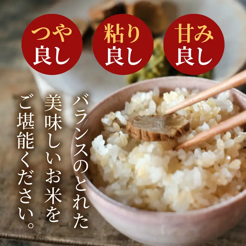 S050-008-R8_【令和8年産】コシヒカリ 玄米 5kg