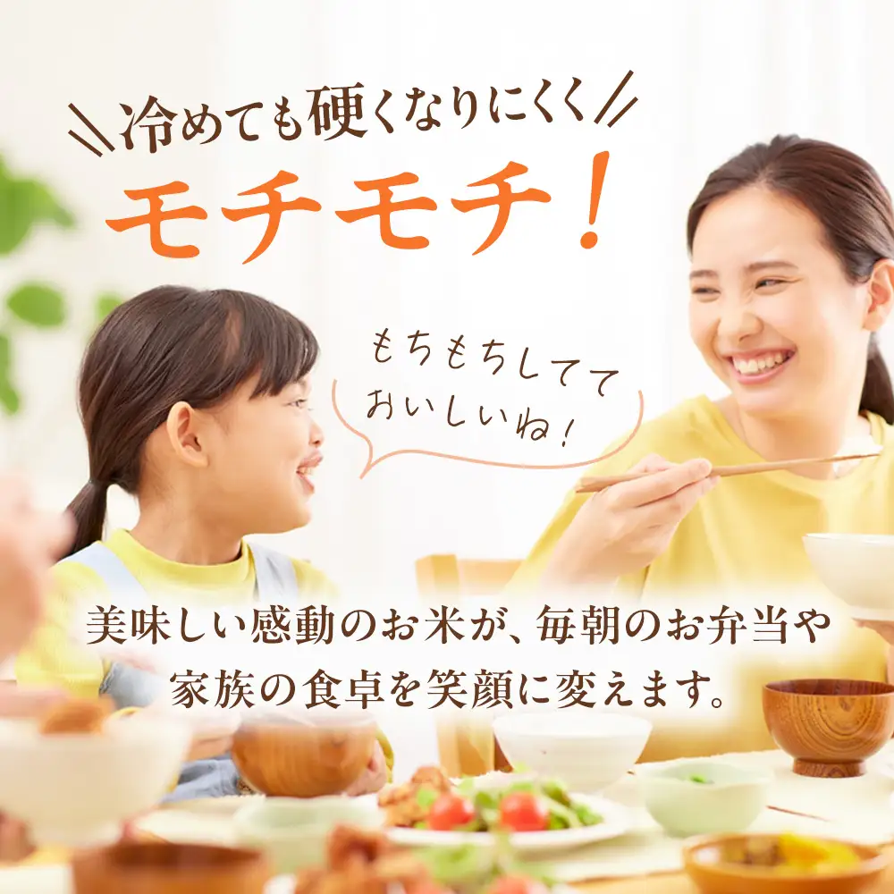 13-7 令和8年産米 栃木県産 ゆうだい21 精米 5kg