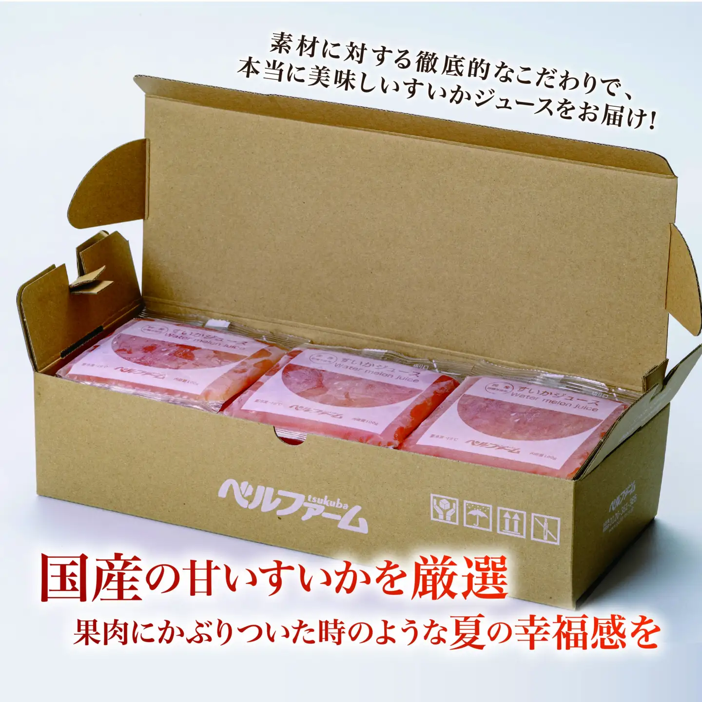 すいかジュース 100g×45P ジュース すいか