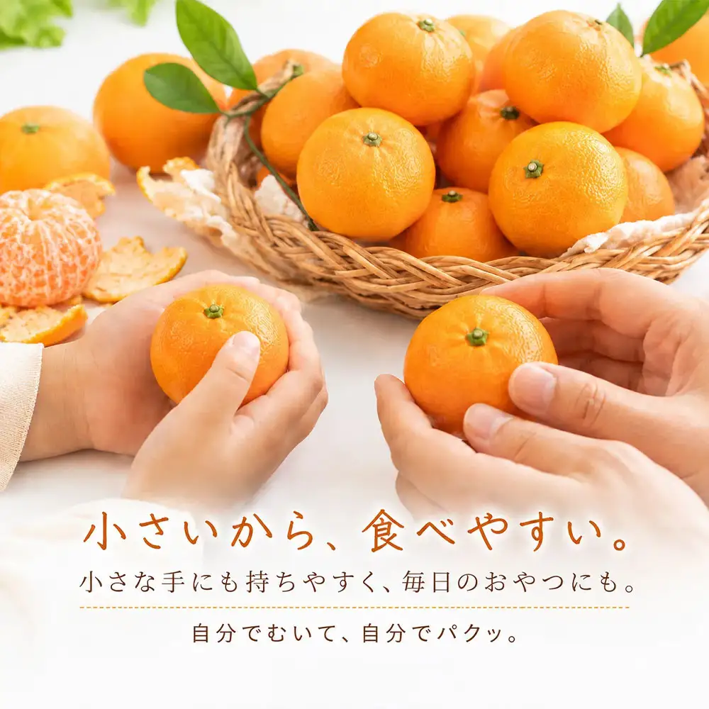 みかん 小粒っ子 10kg 傷み補償 300g 小玉 温州 みかん職人武田屋【R01792】