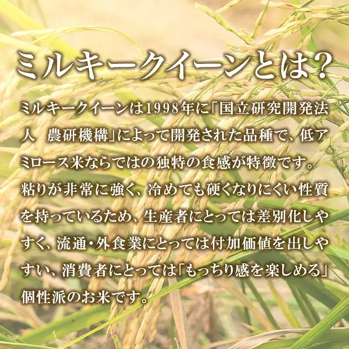 787 茨城県産 ミルキークイーン 10kg (5kg×2袋) 令和8年産 精米【米農家もろちゃん】