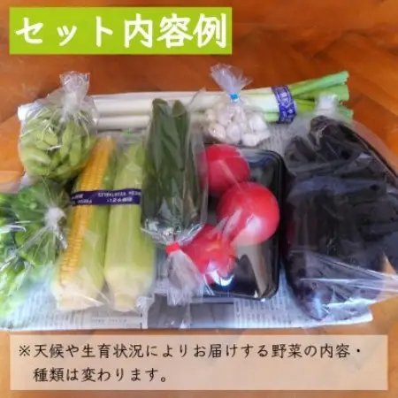 【発送月固定定期便】遠野ふるさと野菜便 野菜ソムリエ 厳選 詰め合わせセット 岩手県遠野市 全4回【配送不可地域：離島】【4092422】