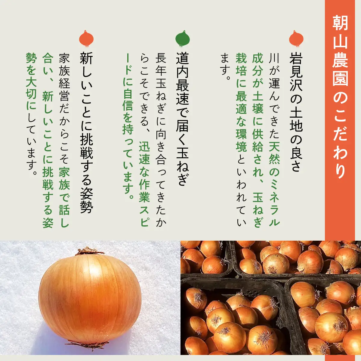 畑から直送の新鮮野菜！玉ねぎ（北もみじ2000）10kg【a168-008】