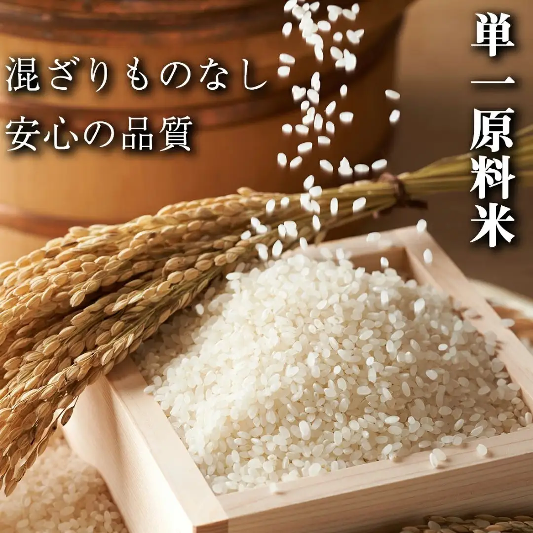 令和8年産〉福岡県産 「夢つくし」10kg 数量限定 精米 | 福岡県須恵町