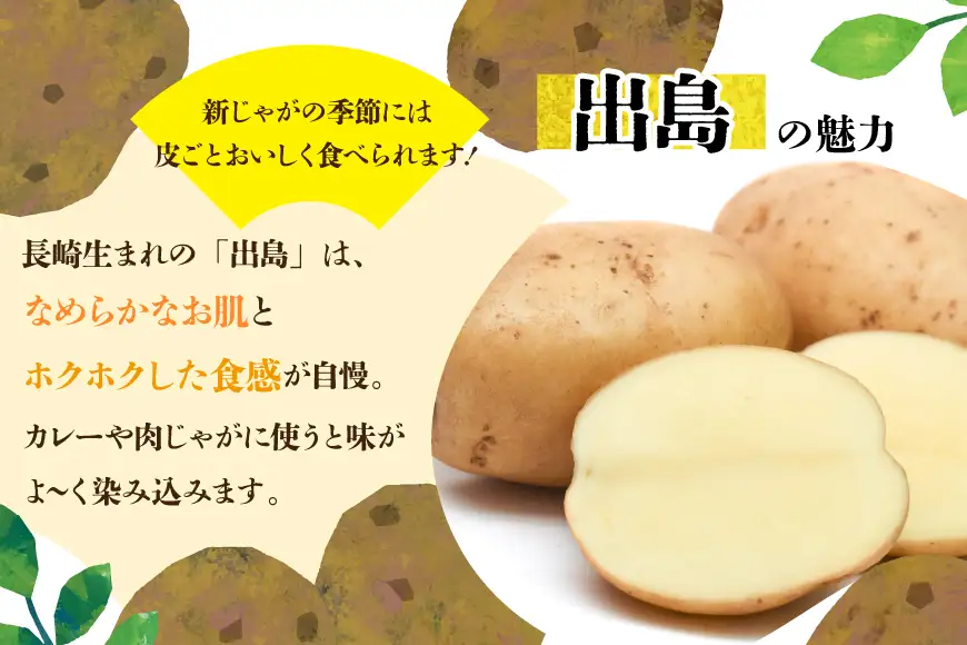 AK077 じゃがいも ながさき黄金 出島 じゃがいも食べ比べセット 計5kg
