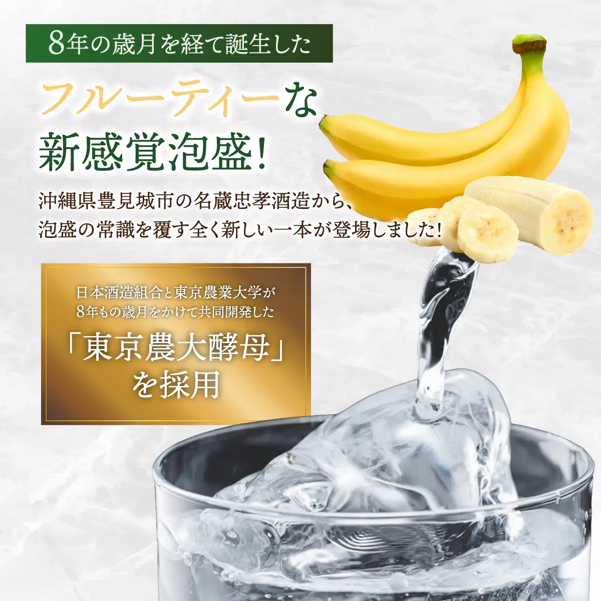 THE　BANANA 500ml（計2本）セット｜25度 500ml 泡盛 酒 お酒 アルコール 忠孝酒造 酒造 バナナ フルーティー ギフト プレゼント 贈り物 沖縄県 沖縄 豊見城市 [BY041]