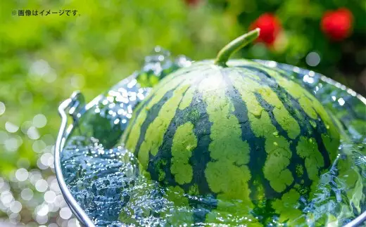 大玉すいか 1玉入り S以上 約2kg 先行予約 スイカ 西瓜 すいか 熊本すいか 果物 くだもの 果実 フルーツ 【 2027年5月上旬 ～ 6月下旬 発送予定 】