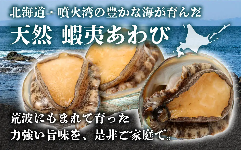 天然 蝦夷あわび 計300g 【mh-0935】