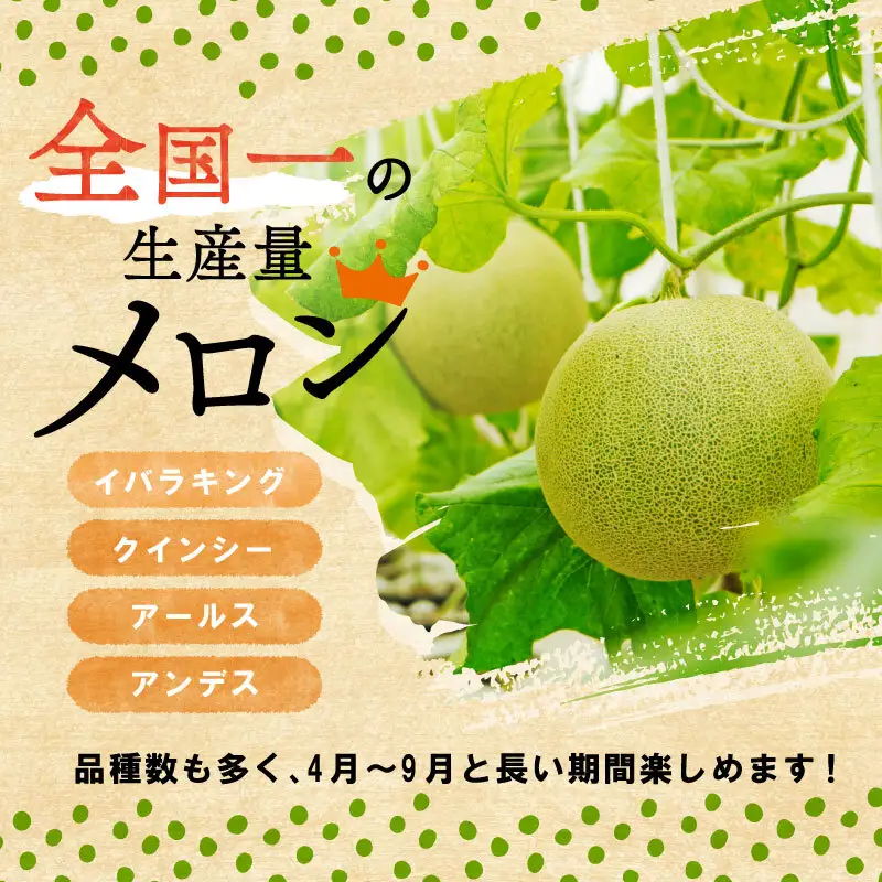 米 新米 令和8年産 コシヒカリ 10kg