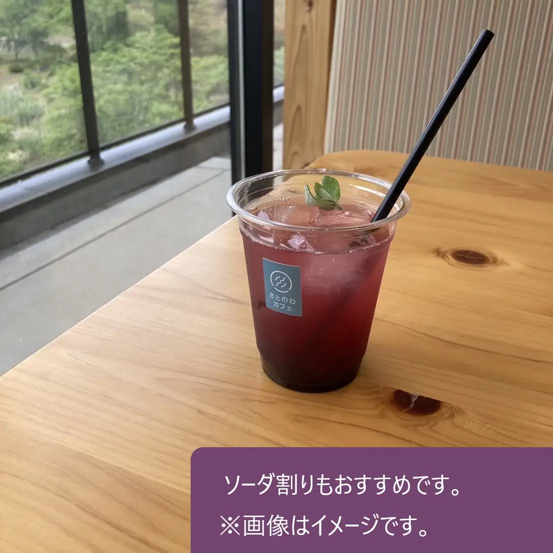 ブルーベリーソース＊１０５ｇ × ２瓶