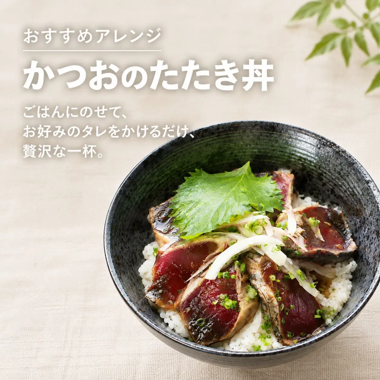かつおのたたき 1kg ポン酢付き 冷凍 セット タレ 10000円 鰹のたたき カツオたたき 鰹たたき 塩タタキ 旬 お手軽 魚海鮮 魚介 小分け 真空パック 新鮮 鮮魚 天然 鰹 水揚げ 一本釣 戻り カツオ タタキ かつお 肉 厚 冷凍 人気  簡単解凍 AION理研 愛南町 愛媛県
