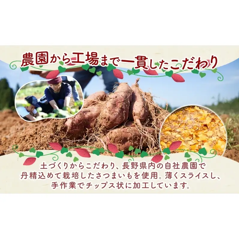 おいもチップス プレーン味 ハニーバター味 各90g×5袋 計10袋 食べ比べ さつまいも はちみつ バター スイーツ サクサク 食感 お茶請け 自社農園 手作業 信州チップス 贈り物 ギフト おいも日和 ねんりん 長野県 坂城町