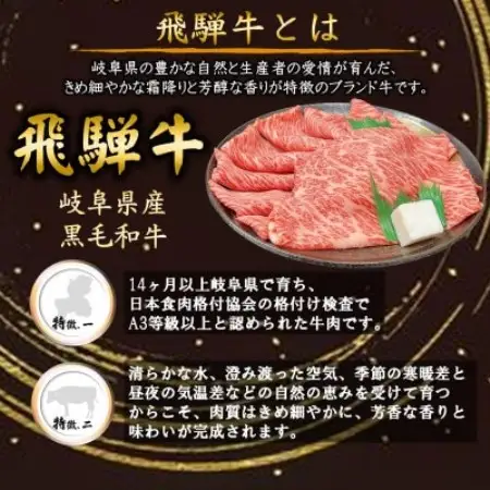 飛騨牛ヒレステーキ計400g【配送不可地域：離島】【1778146】