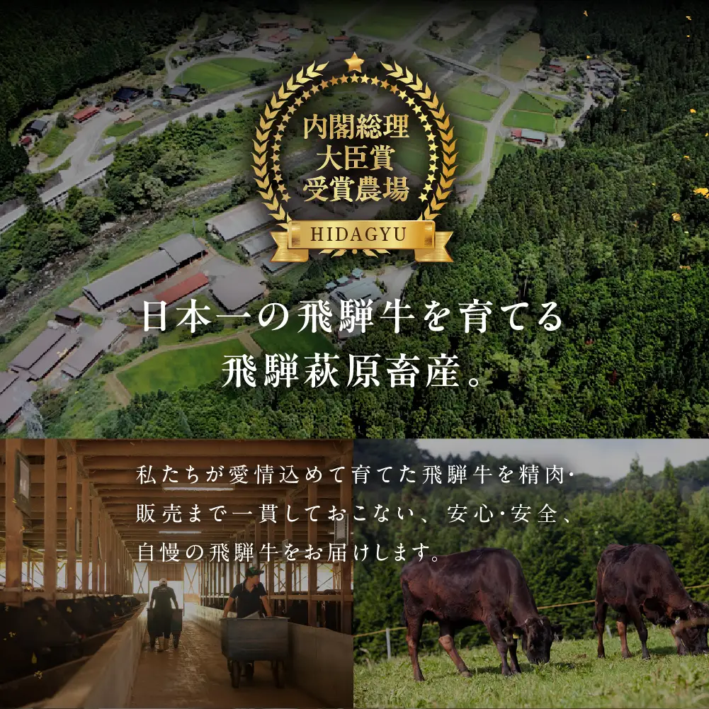 【2027年1月発送】飛騨牛カルビ焼肉用（800g）【22-25(1)】