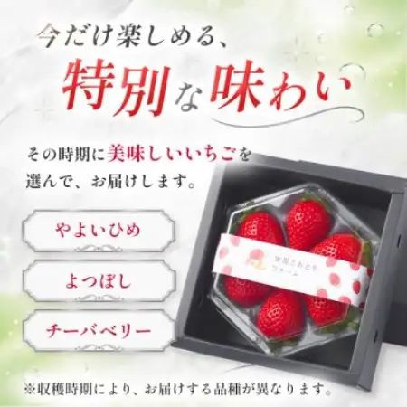 【先行予約 2027年1月中旬以降発送】旬の品種を厳選 きらめく旬のいちご 約180g【配送不可地域：離島・沖縄県】【1778748】