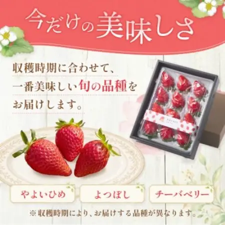 【先行予約 2027年1月中旬以降発送】旬の品種を厳選 至福の完熟いちご 約400g 化粧箱入り【配送不可地域：離島・沖縄県】【1778750】