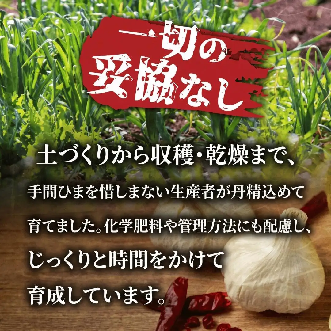 にんにく R9年度 先行予約 農バカにんにく 1箱（300g・5～8個） ＜限定箱＞ | にんにく ニンニク ガーリック 国産 300グラム にんにく ニンニク 東松山あそび農園 埼玉県 東松山市