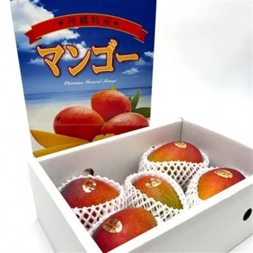 【2027年7月中旬より順次発送】瀬底さんの贈答用アップルマンゴー2kg(4～5玉)【配送不可地域：離島】【1778664】