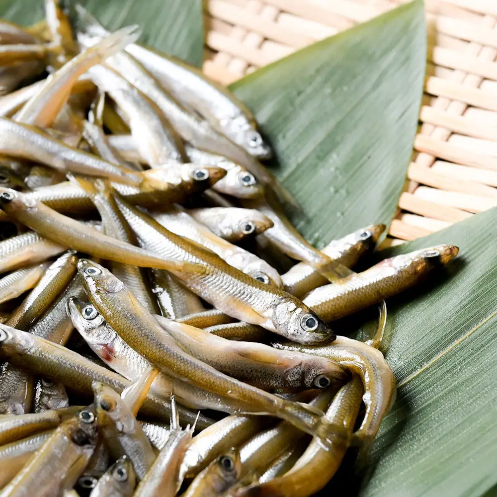 【冷凍】十和田湖わかさぎ 約500g