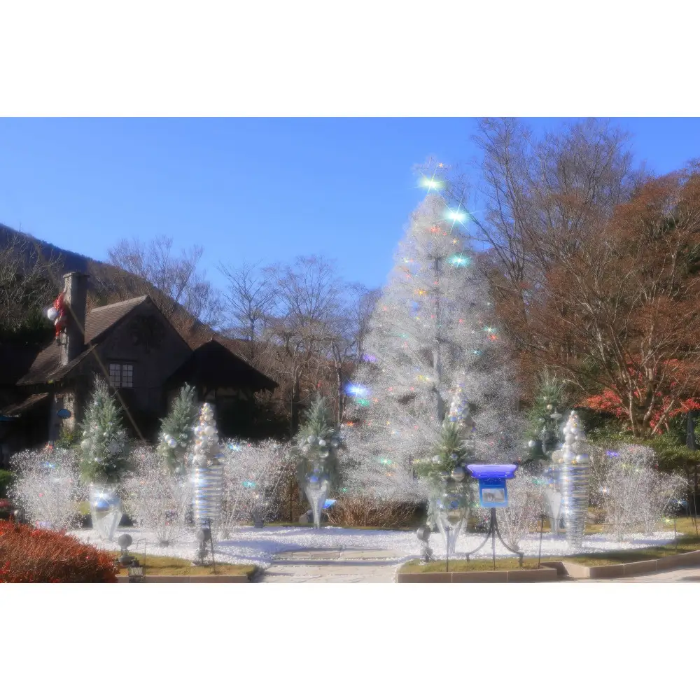 箱根ガラスの森美術館入館ペアチケット【2026年10月上旬以降順次発送】