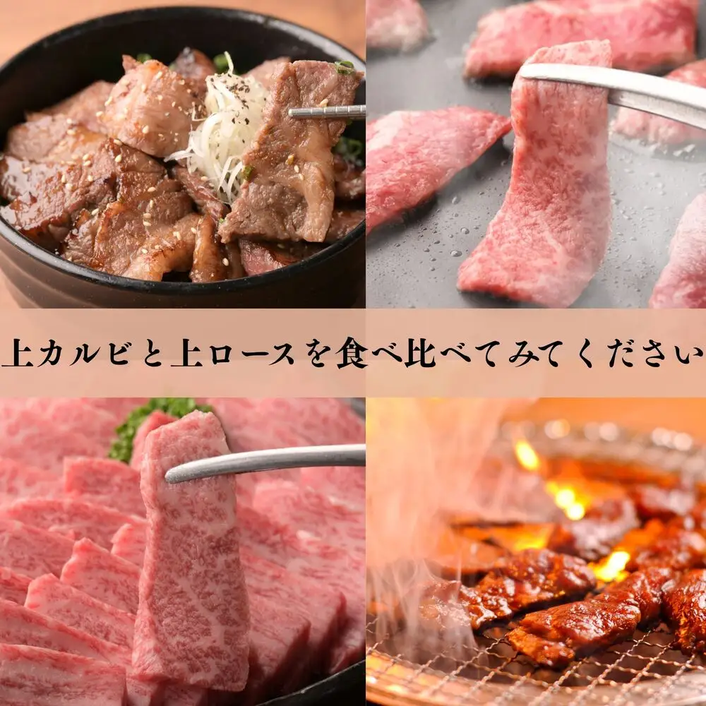 おおいた和牛 食べ比べ セットA (上カルビ 上ロース)  合計 600g 3~4人前 | 津久見市