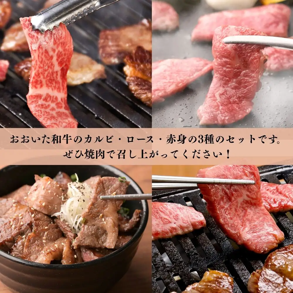 おおいた和牛 牛肉の3種盛 (カルビ ロース  赤身)  合計 750g | 津久見市