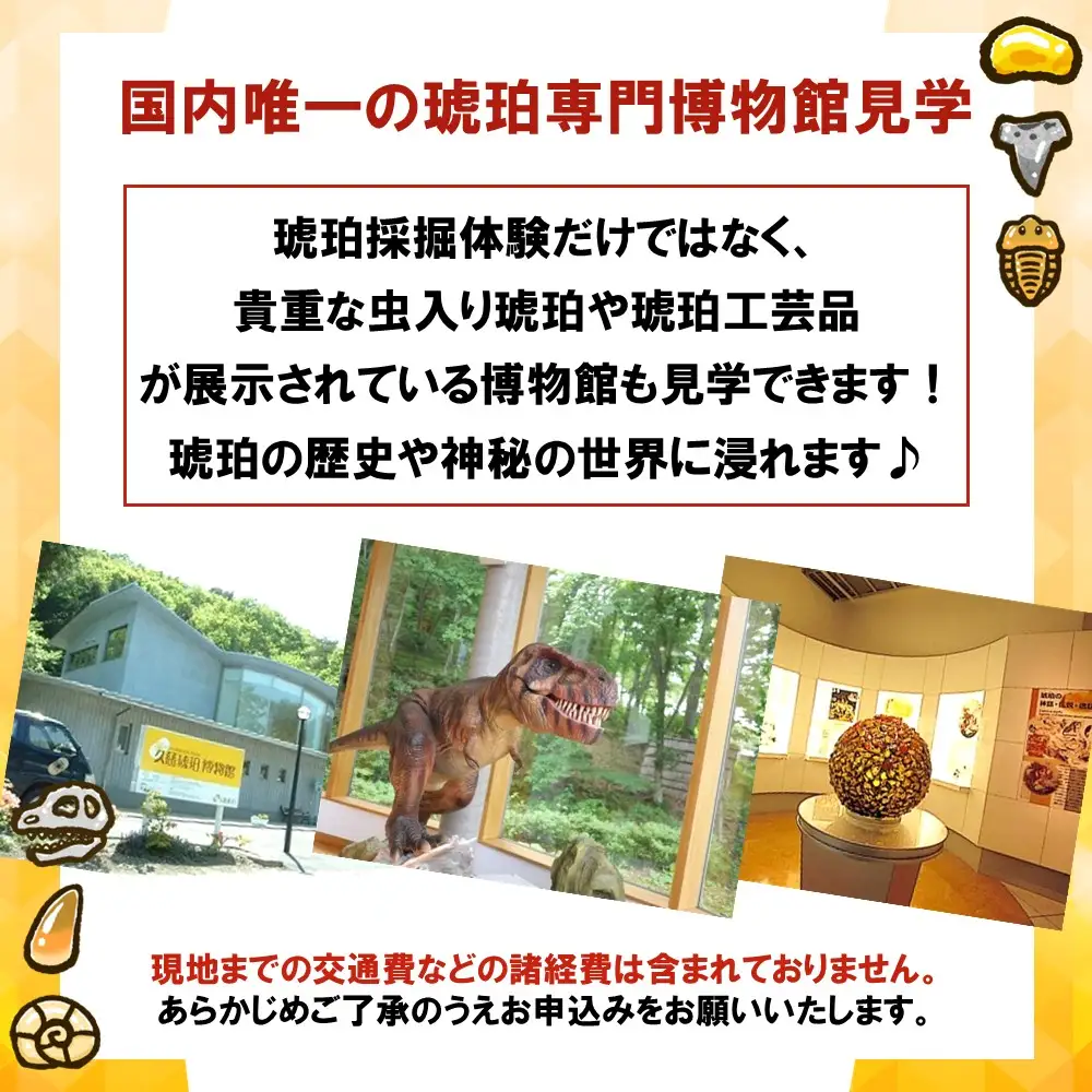 ＼琥珀加工の原点を堪能できる／「琥珀てづくり体験プラン」１名様分