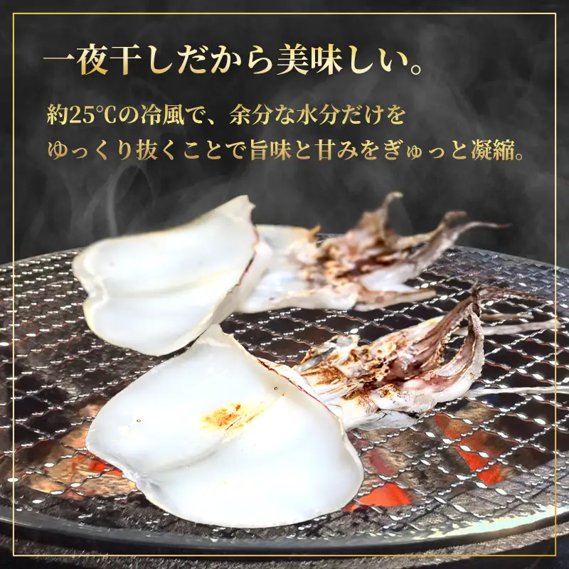 高級 アオリイカ 一夜干し 5枚入り 約300g 京都府産 アオリイカ