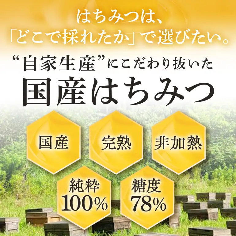 はちみつ 百花 プラボトル 300g 6本 (Y019-002)