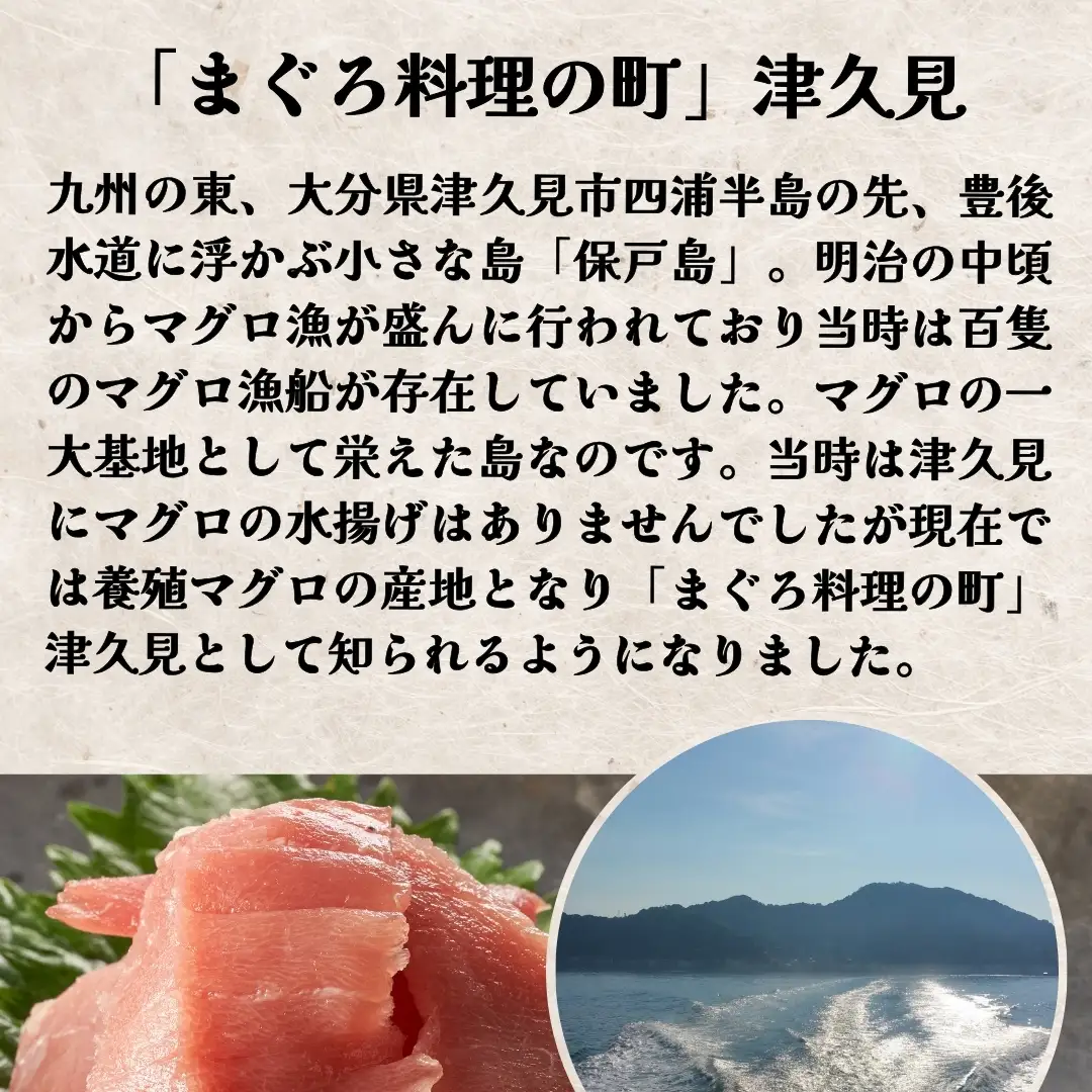 カスガのまぐろ端材 2パック | まぐろ マグロ 端材 カスガ 大分県 津久見市 株式会社カスガ水産