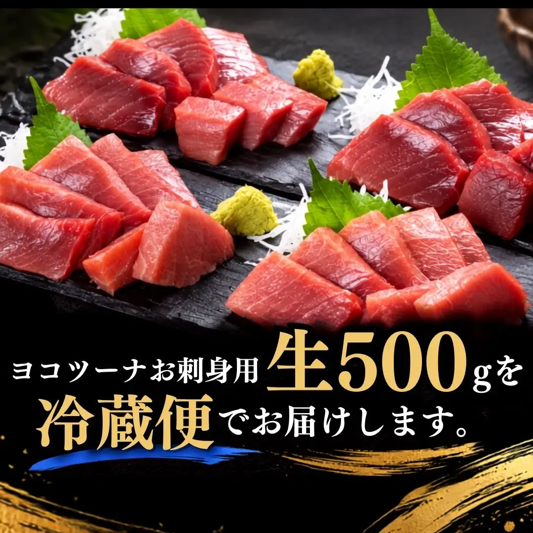 マグロ【生】マグロの中トロ(生) 500g ※離島配送不可※